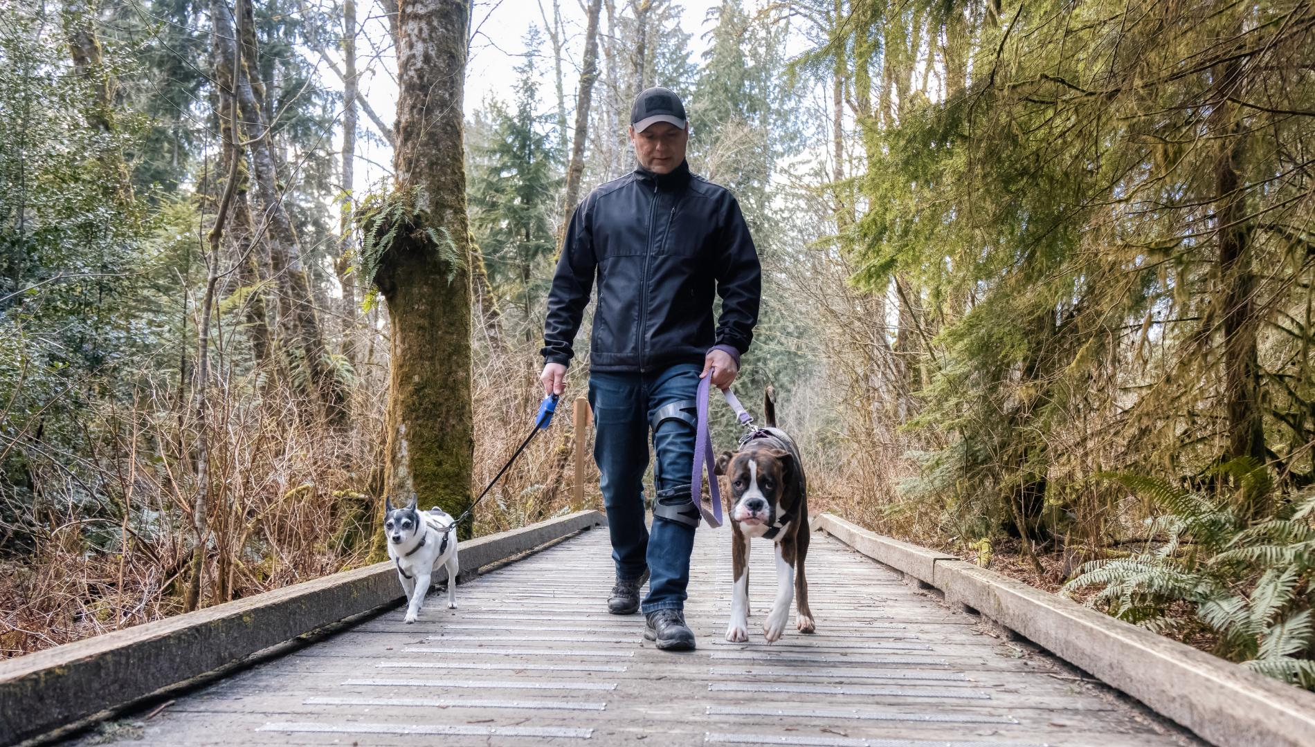 Pet Friendly Walking Trails