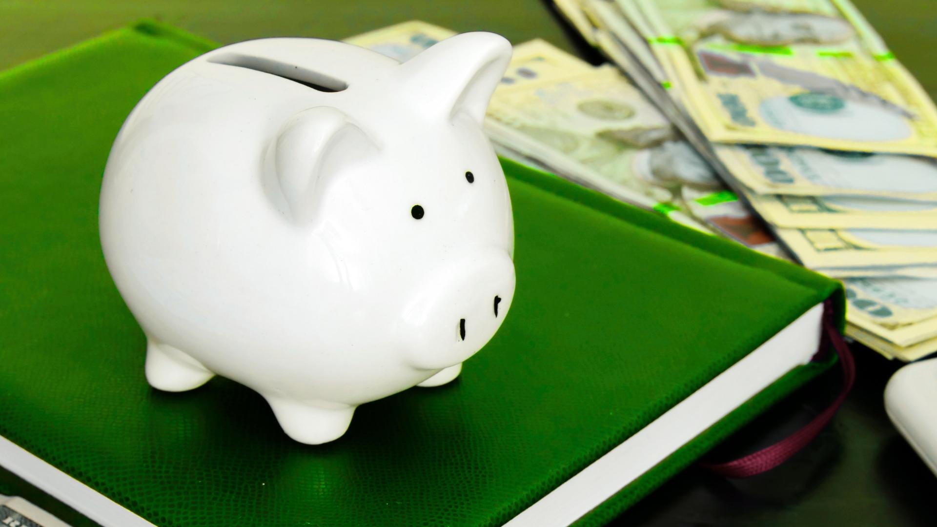White and green piggy