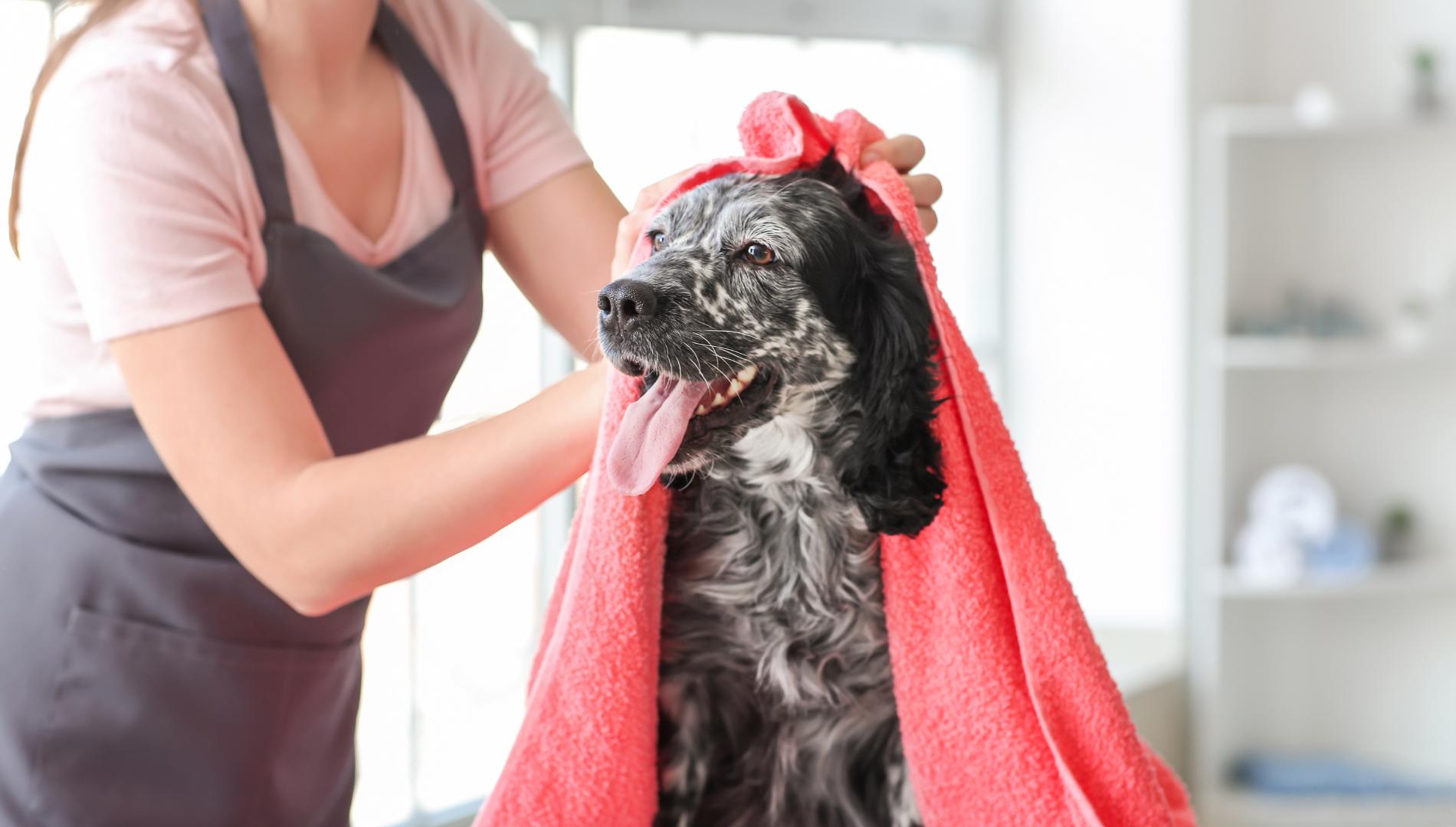 Pet washing station