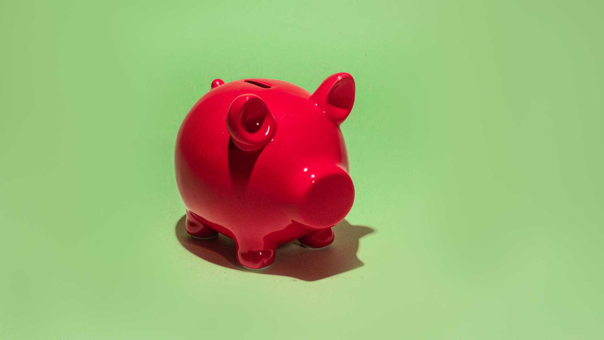 Red piggy